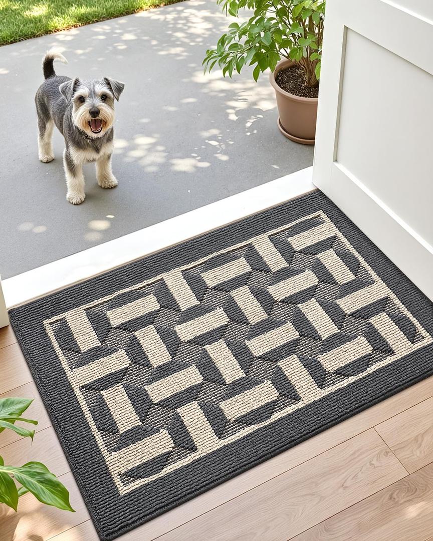 DEXI Front Door Mat 24x36, Washable Entrance Doormat with Non Slip Backing, Low-Profile Welcome Entry Mats for Inside House Entryway Floor, Dark Grey