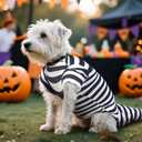 Dog Halloween Costume Sandworm Costume for Dogs Pet Halloween Snake Cosplay Black White Stripes Dog Funny Costumes for Party Medium Large Small Dogs(Medium)