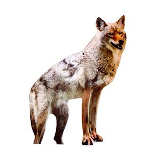 Bird-X 2D Hunting Coyote Predator Decoy - Targets Canada Geese, Deer and Rabbits Deterrent, Yard Ornament
