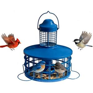 Squirrel Proof Caged Mealworm Bluebird Feeder with Detachable Grille, Easy Refill and Clean, Attract Wild Blue Bird Small Birds Outdoor Hanging, Metal Tube Feeders with Tray Life Time Support