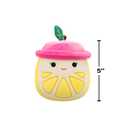 Squishmallows Original 5in Scented Fruit Mystery Squad  Official Jazwares Plush (Little)