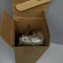 40 Pack Gold Christmas Picks and Sprays for Tree 17.5'' Artificial Glitter Berry Stem Pick with Poinsettia Christmas Tree Filler Ornaments Tree Topper Branch for Xmas DIY Wreath