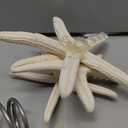 Demissle Natural Starfish Tree Topper Beach Christmas Tree Topper 6 Inch Starfish Treetop Decoration Coastal Christmas Holiday Decoration for Sea Beach Themed Xmas Home Decor