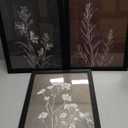 3Pcs Minimalist Plant and Flower Wall Art Modern Minimalist Style Plant and Flower Poster Image Print Gallery Home Decor Painting Suitable for Living Room Bedroom Bathroom 12x16 in Ready to Hang