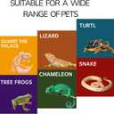 Reptile Hide for Leopard Gecko,Bearded Dragon,Ball Python & Tortoise Terrarium Habitat Dcor, Snake & Lizard Hideout (Resin, Small)