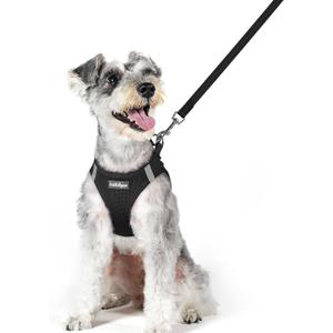 rabbitgoo Dog Harness Small Sized and Leash Set, Step in Soft Light Puppy Vest, Breathable Mesh Pet Harness, Reflective for Outdoor Safe Walking, Black XL