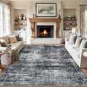 Area Rugs 10x14 Living Room - Washable Rug Modern Abstract Soft Large Neutral Non-Slip Carpet Indoor Floor Thin Carpets for Bedroom Dining Room Farmhouse Nursery Home Office Dark Black