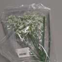 Sukh 10PCS Baby Breath Artificial Flowers Fake Babys Breath Gypsophila Flowers Bulk Realistic Artificial Flowers Bouquet Flores Artificiales para Decoracion for Wedding Party Home Decoration