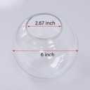KoKo&Yukina 6 Inch Clear Glass Globes Shade Replacement Glass Shades - 2.67" Fitter Opening - Lighting Fixture Replacement