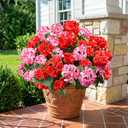 Fake Geraniums Artificial Flowers for Outdoors, 6 Bundles Silk Geraniums Flowers Realistic UV Resistant Fake Plants Faux Flowers for Outside Planters Front Door Garden Balcony Yard Porch Indoor, Mix