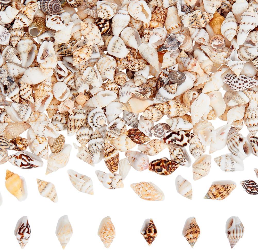 PH PandaHall 1400-1500pcs Tiny Sea Shells 7-12mm Tiny Crushed Shells Miniature Shell NO Hole Seashells Ocean Spiral Seashells for Resin Crafting Candle Home Party Wedding Fish Tank Vase Filler
