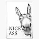 Nice Asspicture for Bathroom Funny Nice Ass Black and White Donkey Canvas Posters Vintage Farmhouse Home Humor Print Paint Cheeky Home Interest Animals Toilet Wall Decor 8x12inch Unframed