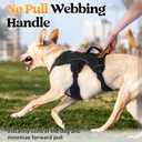 rabbitgoo Escape Proof Dog Harness, Soft Padded Full Body Pet Harness, Reflective Adjustable No Pull Vest with Lift Handle and Leash Clip for Large Dogs Walking Hiking Training, M, Black