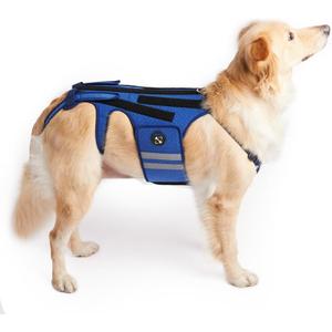Coodeo Dog Back Brace for Dogs Arthritis, Pet Back Bracer for IVDD, Back Protector Helps Pain Relief, Surgical Recovery and Rehabilitation, Dogs Back Disease Prevention. (Blue,Medium)