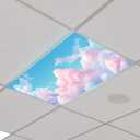 Outus  Light Cover Classroom Lighting Cover with 10 Magnets Light Filter Magnetic Ceiling Panel Decoration 2 x 4 ft (23.62 x 47.24 In) Reduce Glare for Office School(4,Pink Cloud)