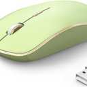 JOYACCESS J 2.4G Slim Wireless Silent Mouse - Portable Wireless Computer Mouse with 5 Adjustable DPI Levels, USB for Desktop, Notebook, MacBook, Chromebook, PC (Light Green)