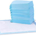 Basics LeakProof Dog and Puppy Potty Training Pee Pads with QuickDry 5Layer Super Absorbent Design, Regular Size 22 x 22 inch, Blue & White, 100 Count