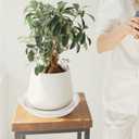 Bleuhome 6 Pack Plant Saucer Tray, 4 5 6 8 10 12 13 15 17 19 inch Plant Saucers, Heavy Duty Plastic Plant Drip Trays for Indoors, Flower Plant Water Tray, Plant Trays for Pots Base (6 inch, Clear)