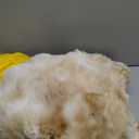 Smoofy Faux Fur Throw Blanket for Couch  Tie-dye Camel Fluffy Cozy Rabbit Fleece, Plush Soft Bubble Blanket for Sofa & Bed, for Mom, Warm Fuzzy Home Room Decor Throw 50" x 60"