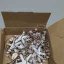 Catery Starfish Headband Seashell Mermaid Crown Headpiece Pearl Beach Wedding Hair Accessories for Women