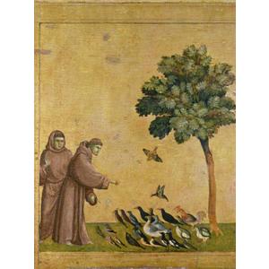 Art.com Wall Giclee Print St. Francis of Assisi Preaching to the Birds by Giotto di Bondone, 24" x 32"