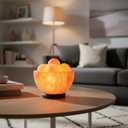 HL Himalayan Pink salt Lamp Bowl with Balls comes with dimmer switch and a pair of bulbs (HL BOWL)