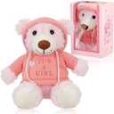 Hollowfly It's a Girl Gifts Bear Stuffed Animal with Gift Box Removable Pink Hooded Clothing, Pink 9.8 Inch Bear Plush for Gender Reveals Baskets, 9.84 inches