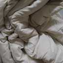 Bedsure Oversized Queen Comforter Set - Beige Soft Bedding for All Seasons, Cationic Dyed Bed Set, 1 Pieces, 1 Oversized Queen Size Comforter (98"x98")