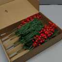 60Pcs Christmas Artificial Pine Branches with Big Red Berry Stems,10" Faux Evergreen Norfolk Pine Cypress Leaves Stems,Fake Foliage Pine Picks Faux Greenery Stems for DIY Craft Garland Xmas Home Decor