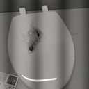 Toilet Seat, Elongated