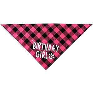 Dog Birthday Party Decoration Set, Buffalo Plaid Bandana, Party Hat, Bow Tie, Pink and Blue