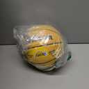 WILSON NBA Player Icon Mini Basketball - Lebron James, Mini Size