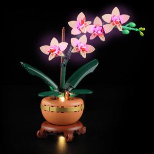 LIGHTAILING Light for Lego-10343 Mini Orchid - Led Lighting Kit Compatible with Lego Building Blocks Model - NOT Included The Model Set
