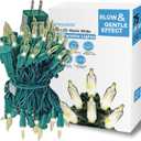 Heyworld Slow Twinkle Lights 75 LED Gentle Twinkling Christmas Lights, UL Certified Waterproof String Lights, 37 of 75 Lights Twinkle, 28 Feet, Connect Up to 3 Sets End to End, Indoor Outdoor Use (Warm White)