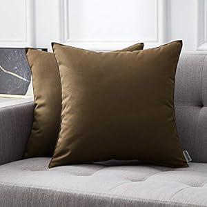 MIULEE Pack of 2 Decorative Pillow Covers Square Cushion Sham Throw Pillowcase Shell Waterproof for Spring Indoor Couch Chair Sofa Patio 20x20 Inch Brown