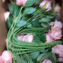 Ovveroche 150 Pcs Artificial Roses Long Stem Silk Flowers Light Pink | Fake Rose Petals Realistic Look Bridal Bouquet Centerpieces Home Party Table Decor Romantic Gift