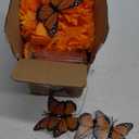 2 Pack Day of the Dead Decorations Total 13.1Ft Marigold Garland for Decoration, 40 Lighted Artificial Marigold Flowers 12 Butterfly for Dia de Los Muertos Indian Diwali Altar Halloween Home Decor (Orange)