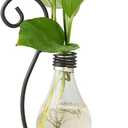 Marbrasse Desktop Glass Planter Hydroponics Vase,Planter Bulb Vase with Holder for Home Decoration,Modern Creative Bird Plant Terrarium Stand, Scindapsus Container (Bulb Vase)