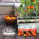 Back to The Roots Organic Seed Starting, Compressed Block expands to 12 Quarts, Made for Herbs, Veggies, Flowers