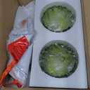 Hardwired Wall Sconces Set of Two, Vintage Wall Lights with Green Tulip Glass Lampshade, Gold Wall Lamps for Bedroom Bedside Stairway Bathroom Living Room (Bulbs Not Included, Not Battery Powered) (1-Light 2Pack)