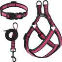 Mile High Life Night Reflective Double Adjustable Band Nylon Small Puppy Pet Dog Combo Collar Leash and Harness Set (Reflective Edge Pink, Large Pack of 3)