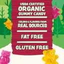 Black Forest Organic Gummy Forest Friends Candy, Made with Real Fruit Juice, Colors and Flavors from Natural Sources, Gluten Free and Fat Free, 4.5oz Bag (Pack of 12) (EXP 01/04/27)