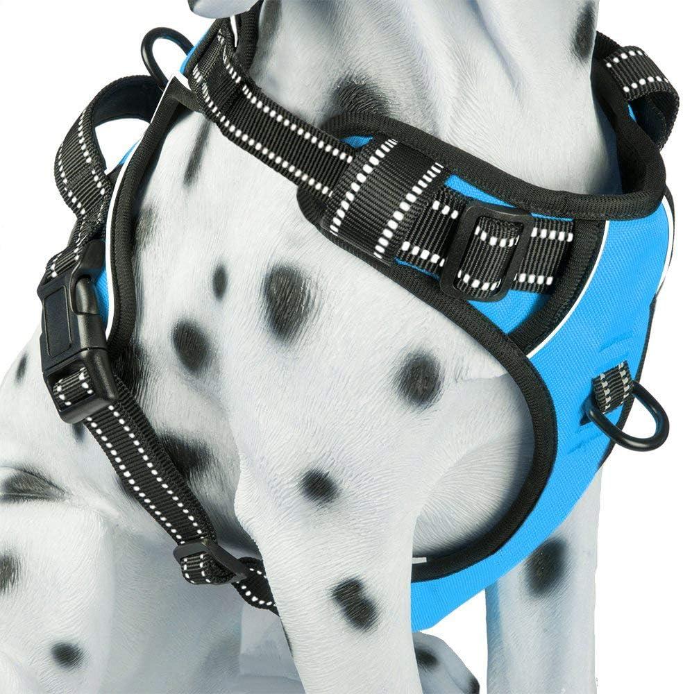PoyPet No Pull Dog Harness, Reflective Comfortable Vest Harness with Front & Back 2 Leash Attachments and Easy Control Handle Adjustable Soft Padded Pet Vest for Dogs (Blue,S)