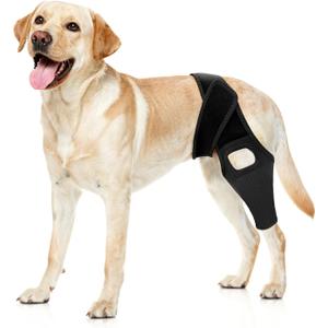 Jorme Dog Knee Brace for Torn ACL, Dog Leg Brace for Post-Surgery Recovery, Arthritis & Luxating Patella,Side Stabilizers, Breathable Neoprene, Adjustable Velcro & Belly Band,Front/Rear Legs (L)