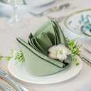 FOLINS&HOME Sage Green Heavy Duty Cloth Napkins Set of 6 - Decorative 20x20 Inch Polyester Napkins with Hemmed Edges, 210GSM, Washable & Reusable for Dinner, Wedding, Party, Banquet & Everyday Use (3 pack, 18 sets total)