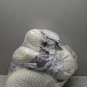 Pregnancy Pillow for Pregnant Women, Soft Pregnancy Body Pillow, Support for Back, Belly, HIPS, Legs, Maternity Pillow with Detachable and Adjustable Pillow Cover