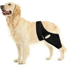 L Dog Knee Brace for Torn ACL Hind Leg, Dual Rear Leg Support with 4 Metal Stabilizers, CCL Brace for Dogs with Hip Dysplasia, Luxating Patella & Arthritis