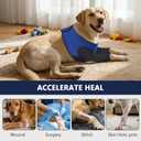 Dog Front Leg Sleeve to Stop Licking, Dog Elbow Protector for Surgery, Hot spot, Wound, Stitche, Granuloma, Skin Issues, Soft Breathable Cover for Large Medium Small Dogs, XS