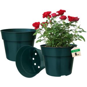 50 Pack 6 Inch Nursery Pots, Planting Grow Plastic Flower Pots, Thick Planters with Drainage Holes for Outdoor/Indoor Plants Succulent Herb (Green)