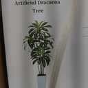 6FT Artificial Dracaena Tree, Fake Tree Indoor with White Tall Planter,Tall Artificial Plants Indoor,Artificial Silk Tree for Home Office Decor (White)